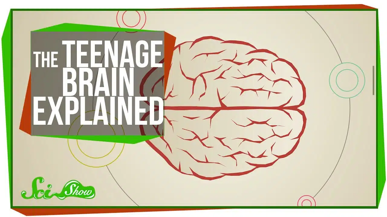 A graphic of a brain for a video called "The teenage brain explained" that discusses how signs of teen depression affect teenage brain development | ThreePeaks Ascent, a Residential Treatment Center for Depressed Teens
