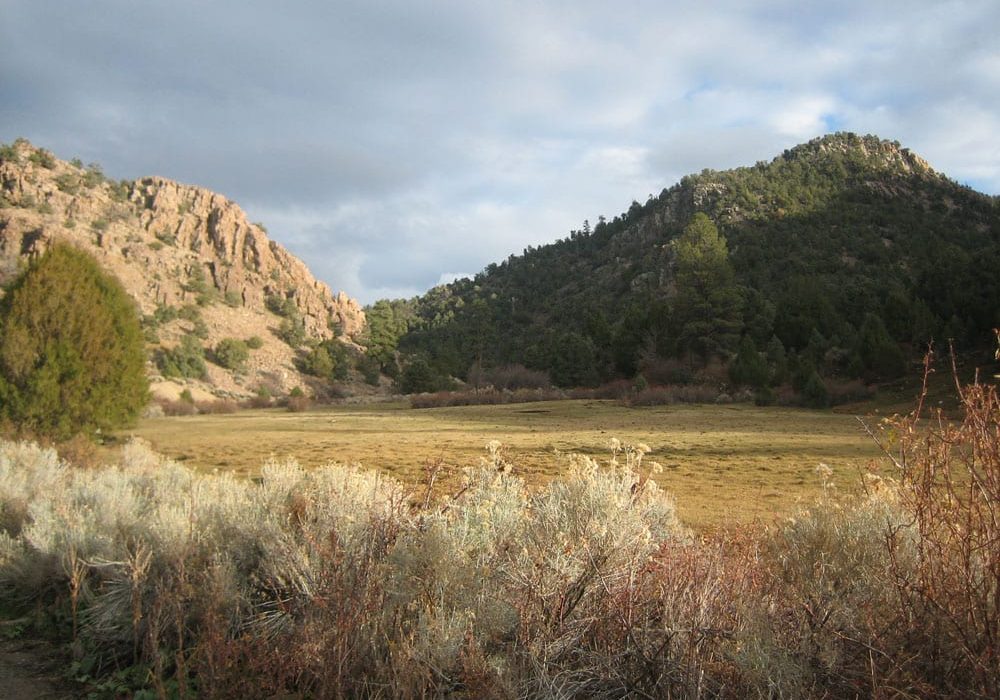 green spaces out in the field mountain valley views with open spaces threepeaks ascent